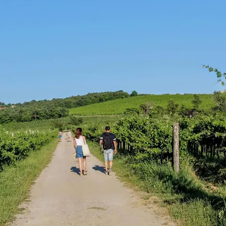 Mobile House & Whirlpool * Ankaran